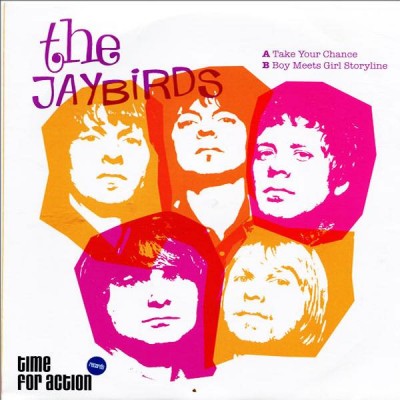 THE JAYBIRDS Take Your Chance (7")