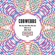 COBWEBBS We Are Not Who We Are (7")