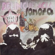 DELINCUENCIA SONORA 1981-1985