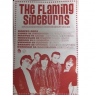 The Flaming Sideburns Poster