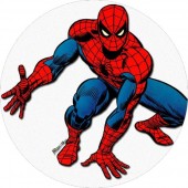 Spiderman Badge