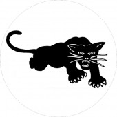 Black Panthers Magnet